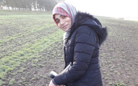 PhD student Naila Hina extracting water from a porous pot to use in modelling N leaching in the field. 